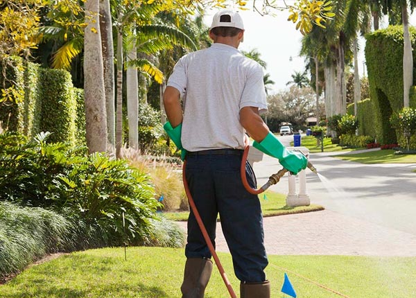 About Summerdale PA Pest Control Pros